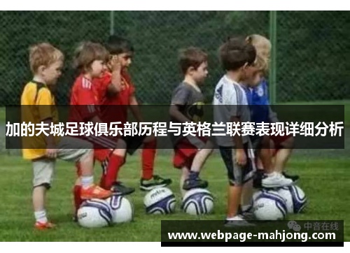 加的夫城足球俱乐部历程与英格兰联赛表现详细分析