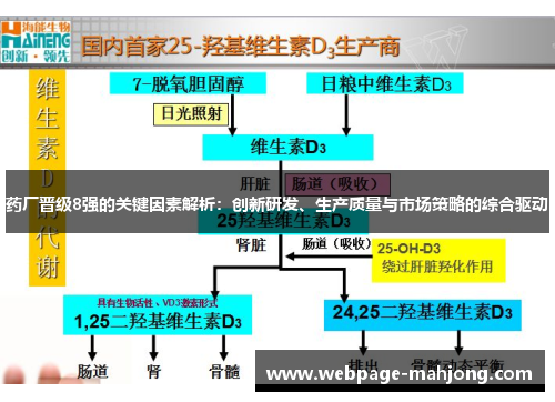 药厂晋级8强的关键因素解析：创新研发、生产质量与市场策略的综合驱动